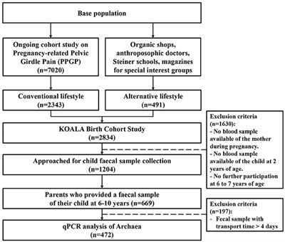 Gut Colonization by Methanogenic Archaea Is Associated with Organic Dairy Consumption in Children